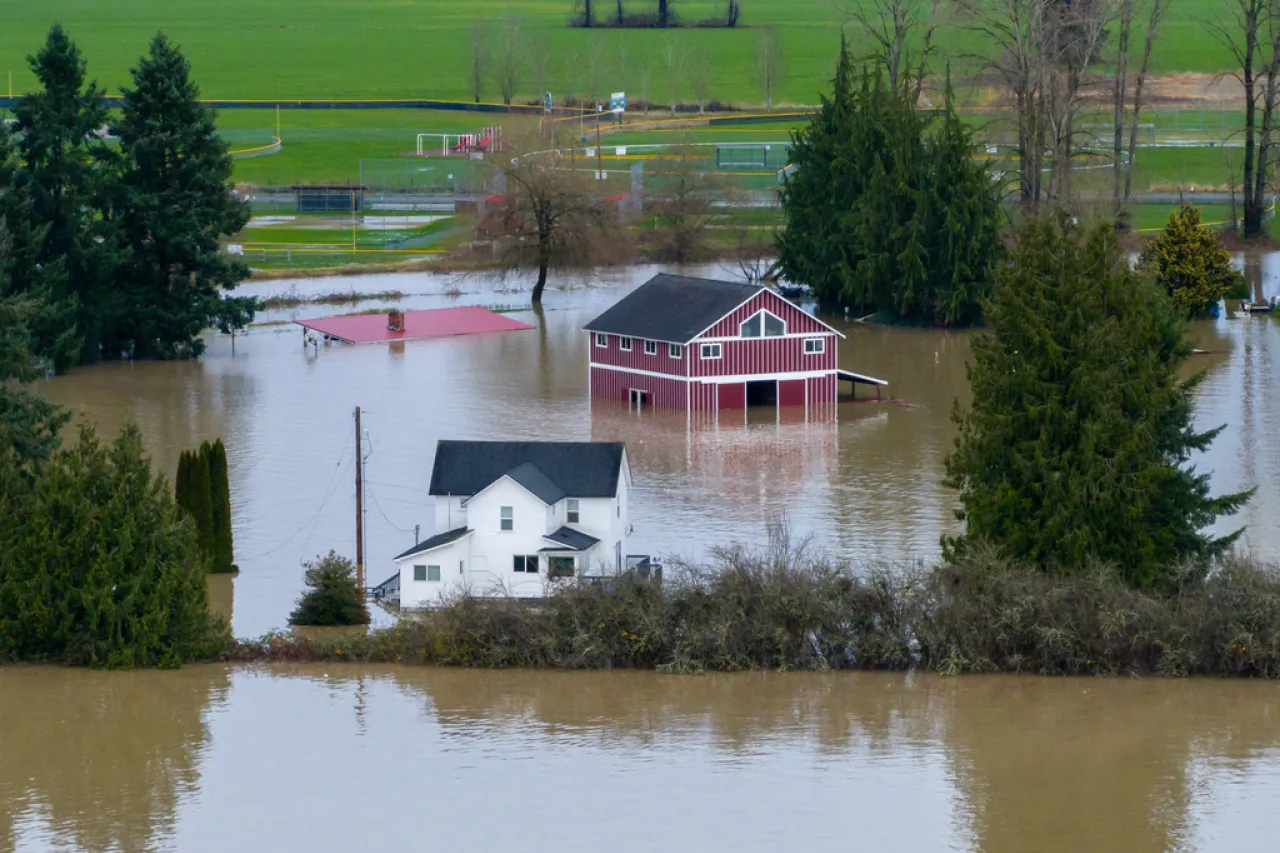 Inundación devastadora en la capital estadounidense: Washington registra récord de inundaciones que arrasan barrios y obligan a miles de personas a evacuar.