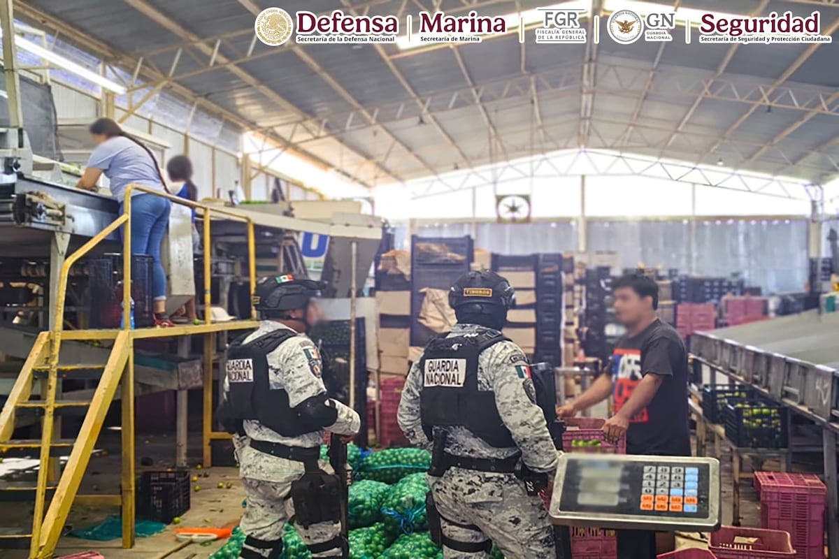 Operativo contra la violencia: autoridades desarticulan red criminal en Michoacán, detienen a 17 personas y recuperan una importante cantidad de armas peligrosas.