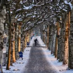 Tormenta de Invierno: nieve y hielo azotan Europa, paralizando vuelos y cortando comunicaciones